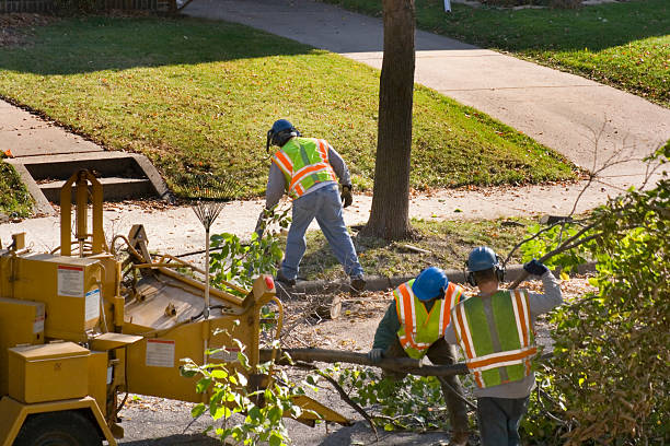 Best Lawn Watering Services  in Georgetown, GA